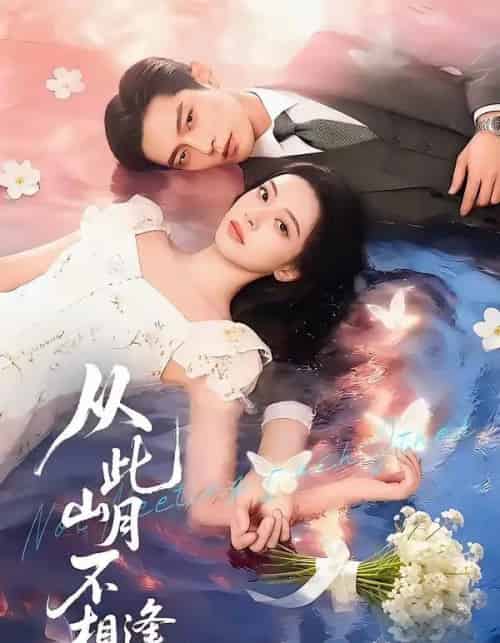 从此山月不相逢（71集全）AI-紫橙资源网