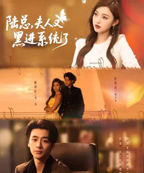 陆总夫人又黑进系统了（81集）纪俊良＆戚羽佳-紫橙资源网