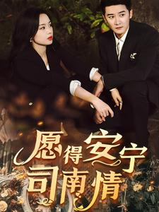 愿得安宁司南情（76集全）-紫橙资源网