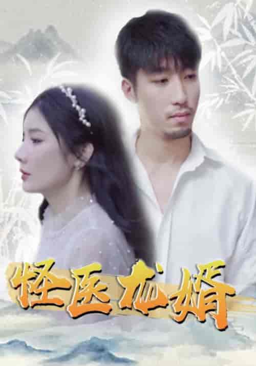 怪医龙婿（80集全）丁不二＆风听雪-紫橙资源网