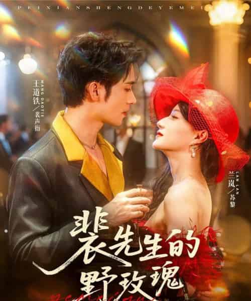 裴先生的野玫瑰(72集)兰岚&王道铁-紫橙资源网