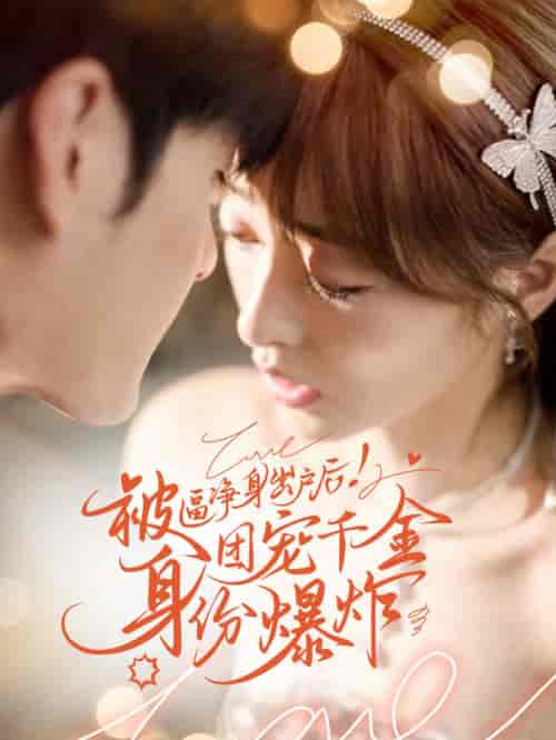 被逼净身出户后团宠千金身份爆炸（70集全） - 紫橙短剧