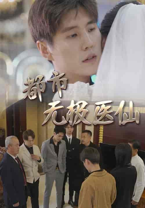 都市无极医仙（100集全）洪宇＆肖灵儿-紫橙资源网