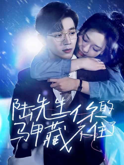陆先生你的马甲藏不住了(89集全)叶晚柠&陆言卿-紫橙资源网