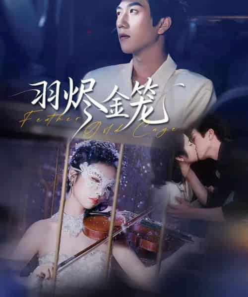 羽烬金笼（74集全）宋宇博＆肖诗雨-紫橙资源网