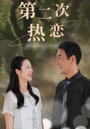 第二次热恋(48集)-紫橙资源网