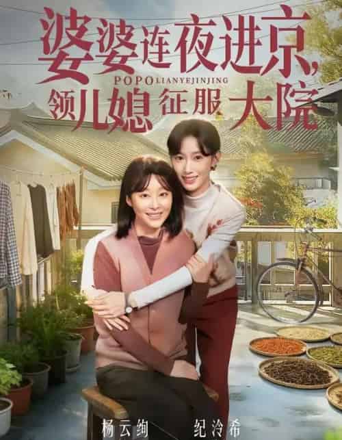 婆婆连夜进京，领儿媳征服大院（78集全）纪泠希＆杨云绚 - 紫橙短剧