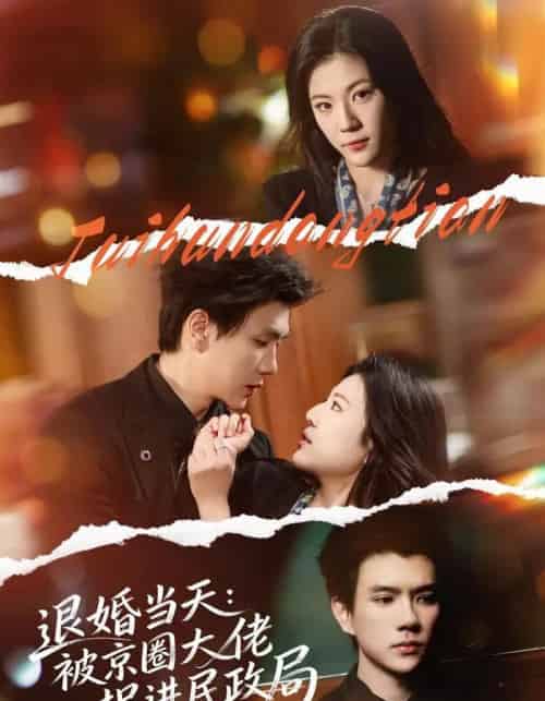 退婚当天：被京圈大佬拐进民政局（80集全）唐子璇＆梦龙-紫橙资源网
