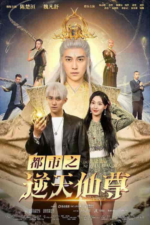 都市之逆天仙尊（78集全）-紫橙资源网