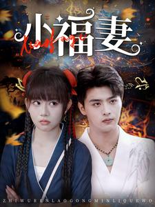 小福妻（62集全）吕星灼-紫橙资源网