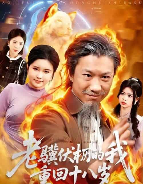 老骥伏枥的我重回十八岁（80集全）孔梓权＆王盈心-紫橙资源网