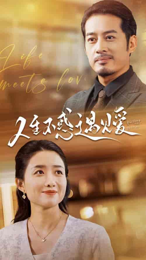 人生不惑遇见爱＆中年闪婚老伴竟是全国首富（80集）-紫橙资源网