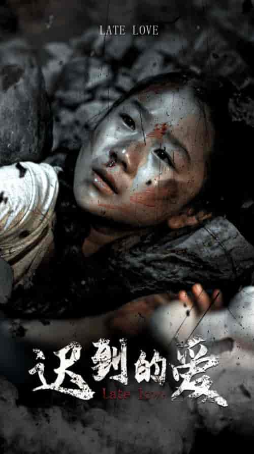 迟到的爱(48集)-紫橙资源网