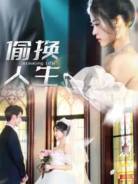 偷换人生(80集)-紫橙资源网