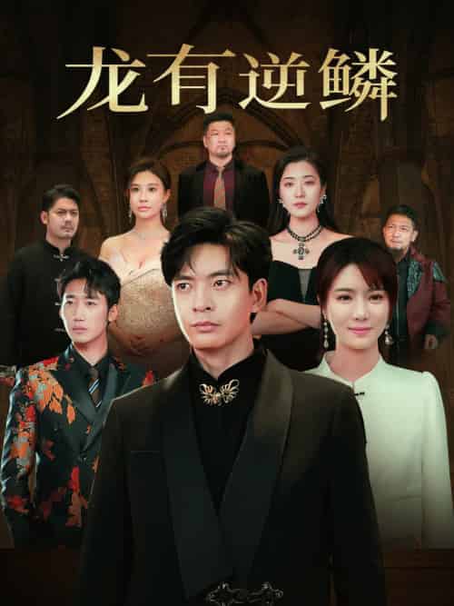 龙有逆鳞（65集全）何子杰＆辛宛柔-紫橙资源网