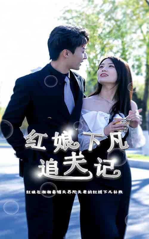 红娘下凡追夫记（100集）-紫橙资源网