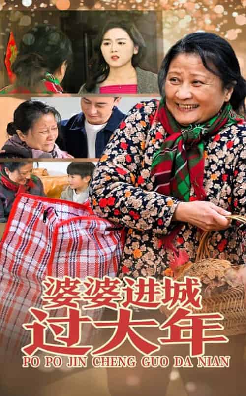 婆婆进城过大年（33集） - 紫橙短剧