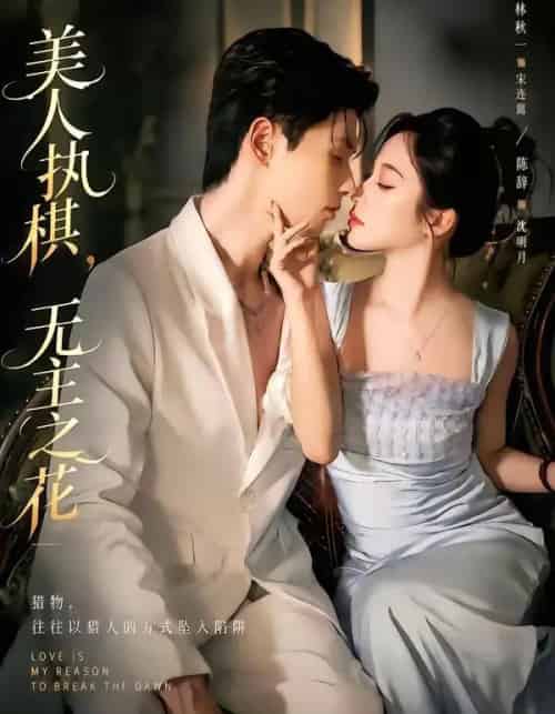 美人执棋，无主之花（65集全）林秋一＆陈辞＆谭昊麒-紫橙资源网