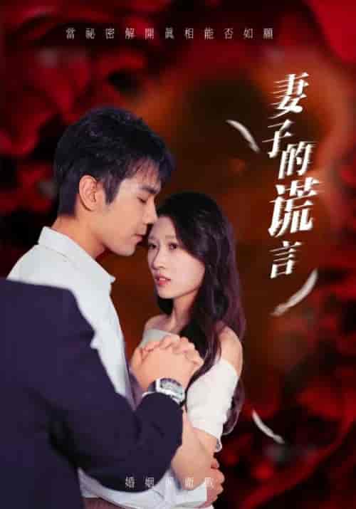 妻子的谎言（41集全）-紫橙资源网