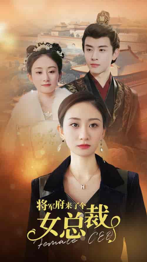 将军府来了个女总裁（88集）-紫橙资源网