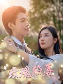 玫瑰陷落（67集）蹇代莉-紫橙资源网