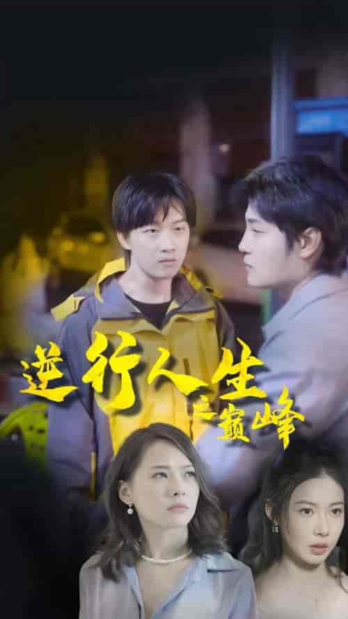 逆袭人生之巅峰（92集）-紫橙资源网