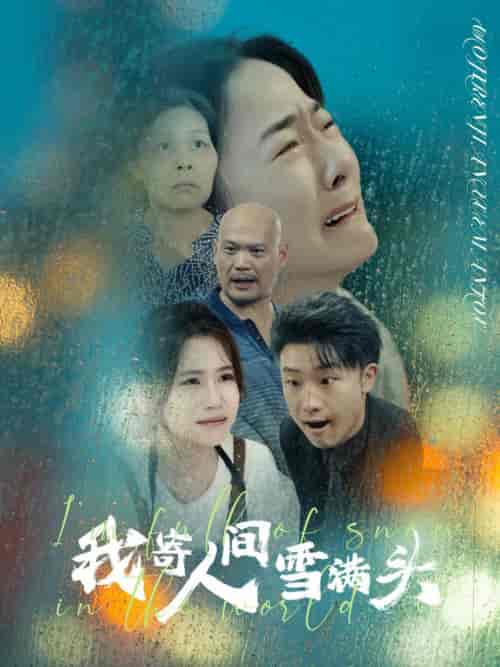 我寄人间雪满头（71集）-紫橙资源网