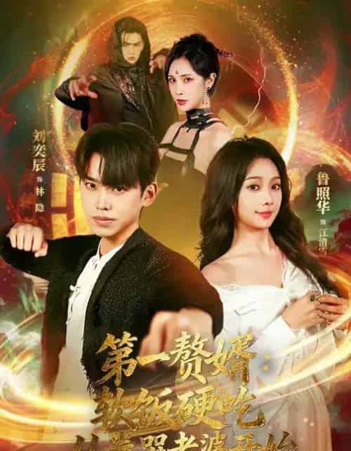 第一赘婿：软饭硬吃，从卷哭老婆开始＆第一赘婿软饭硬吃从卷哭老婆开始（69集全）刘奕辰＆鲁照华-紫橙资源网