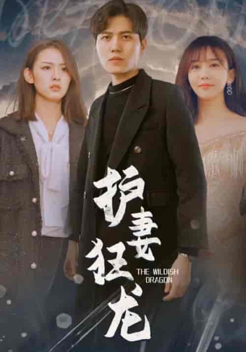 护妻狂龙(100集全)楚绝尘&沈云初-紫橙资源网
