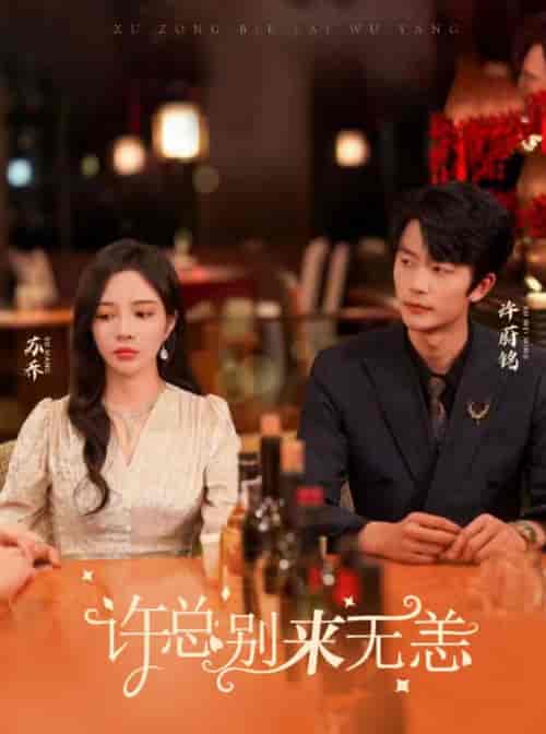 许总别来无恙（67集）-紫橙资源网
