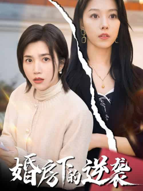 婚房下的逆袭（38集全）杨舒米＆李金金-紫橙资源网