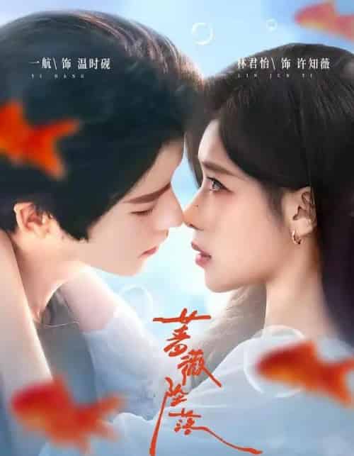 蔷薇坠落(94集全)一航&林君怡-紫橙资源网