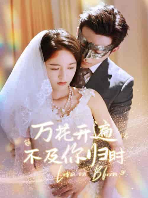 万花开遍不及你归时（64集）李可乐-紫橙资源网