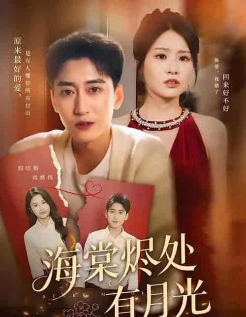 海棠烬处有月光(70集全)张佳艺&常子轩-紫橙资源网