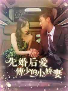 先婚后爱傅少的小娇妻（95集全）-紫橙资源网