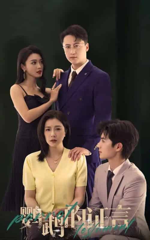 鹦鹉的证言（45集）刘辰锦＆章滢-紫橙资源网