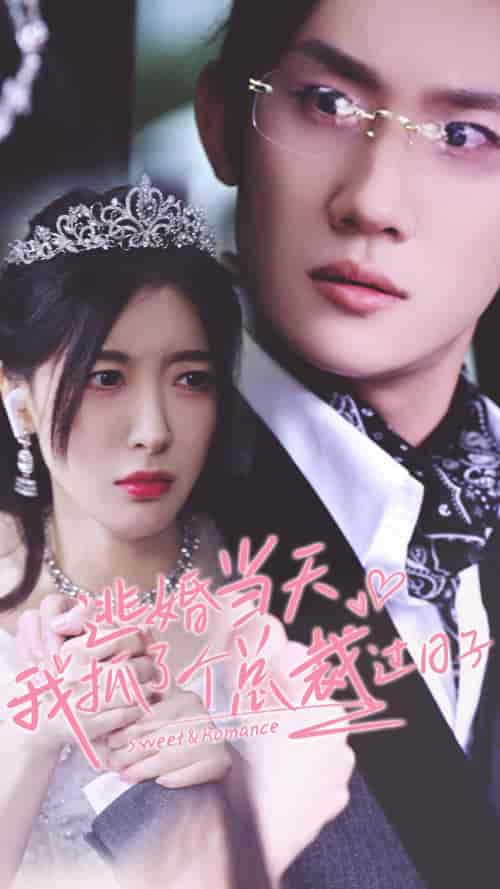 逃婚当天我抓了个总裁过日子(80集)-紫橙资源网