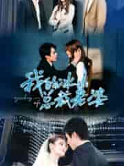 我的冰山总裁老婆（93集）-紫橙资源网