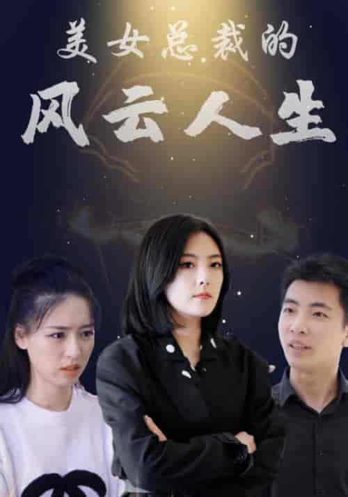 美女总裁的风云人生（99集全）赵文＆顾倾城-紫橙资源网