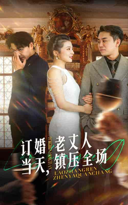 订婚当天,老丈人镇压全场(29集全)-紫橙资源网