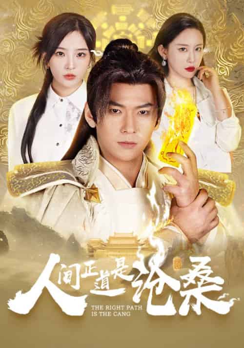 人间正道是沧桑（65集全）张昊天＆夏语冰-紫橙资源网