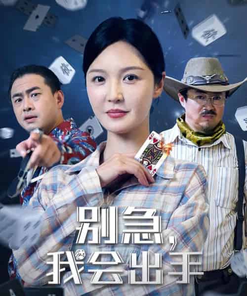 别急我会出手（50集）王冠程＆李明-紫橙资源网