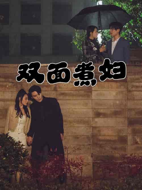 双面煮妇(99集)-紫橙资源网