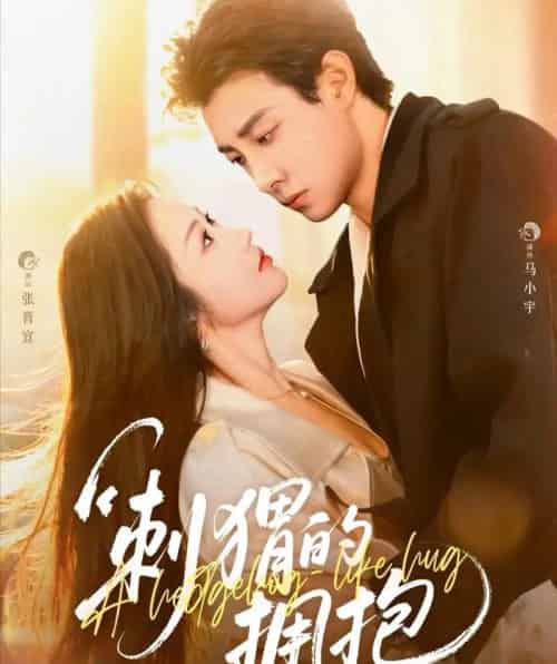 刺猬的拥抱(71集全)马小宇&张晋宜-紫橙资源网