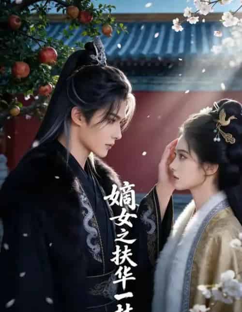 嫡女之扶华一梦（71集全）AI-紫橙资源网