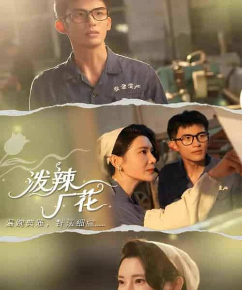 泼辣厂花（68集全）黄怀霆＆陈芊淇-紫橙资源网