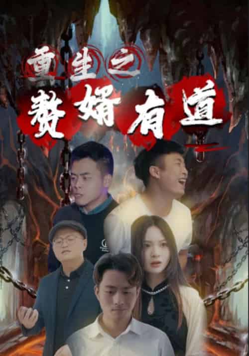 重生之赘婿有道（123集全）张天豹＆冰冰-紫橙资源网