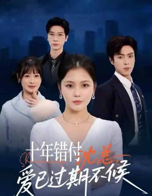 十年错付：沈总，爱已过期不候（51集全）向云茜＆赵赫为＆三七-紫橙资源网