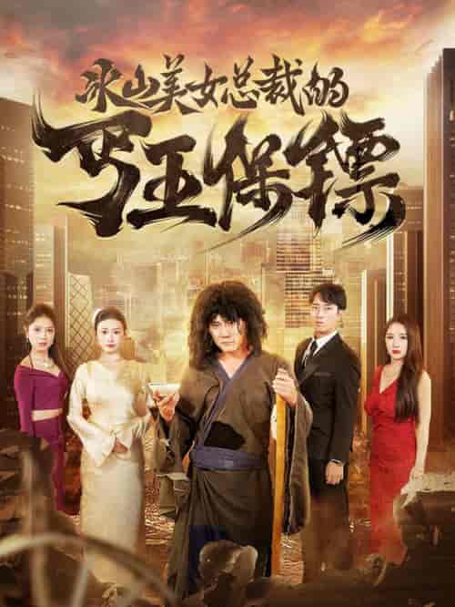 冰山美女总裁的丐王保镖（73集全）-紫橙资源网