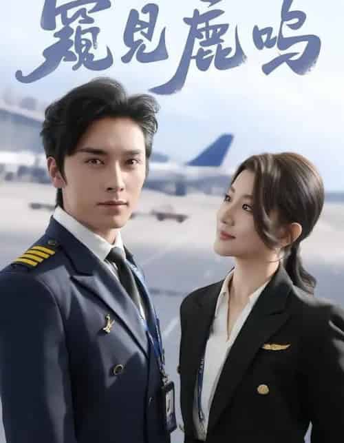 窥见鹿鸣(60集全)王博&王如玮-紫橙资源网